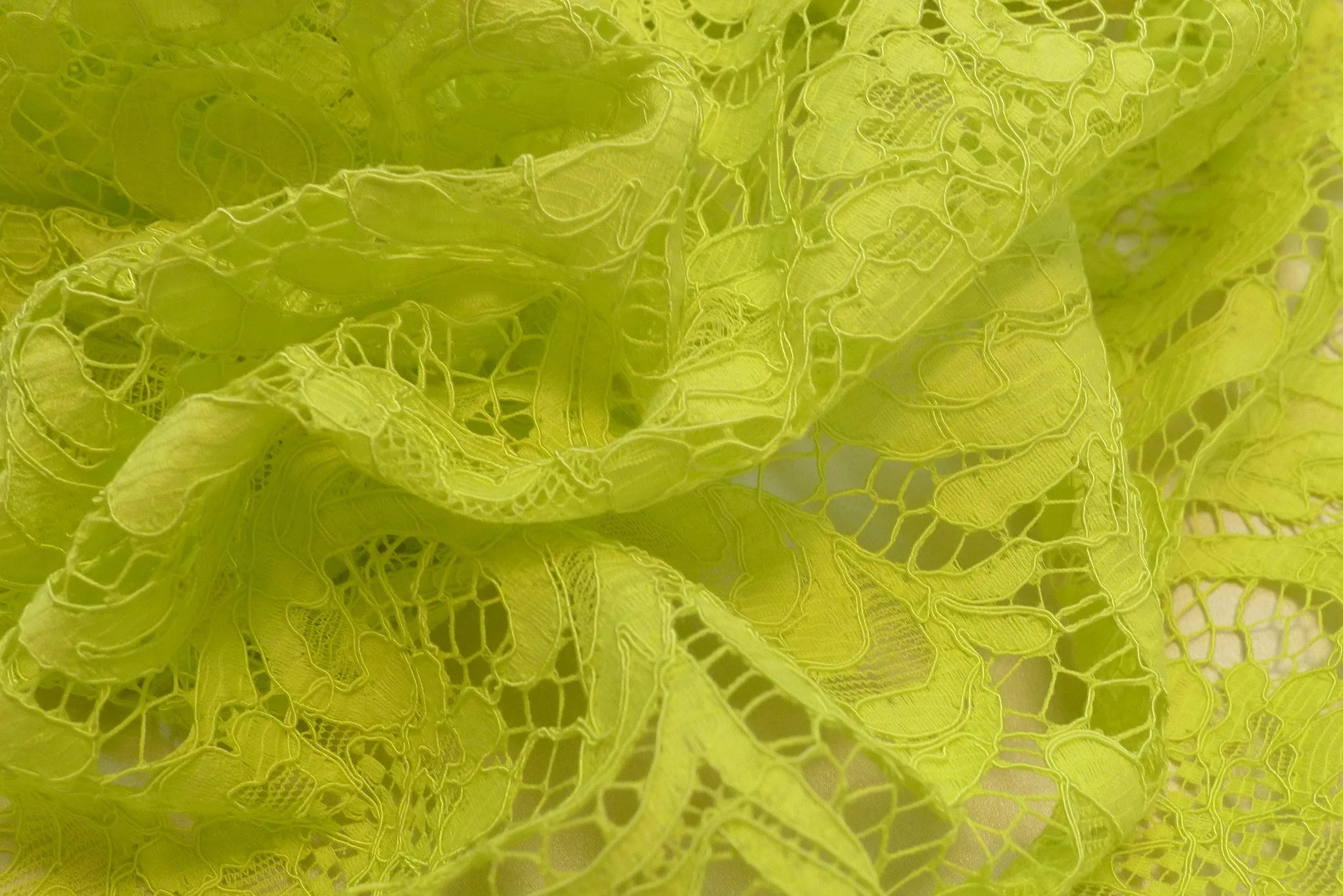 Citronnade Corded Lace